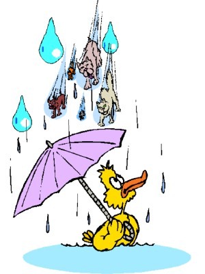 [raining with cats and duck[3].jpg]