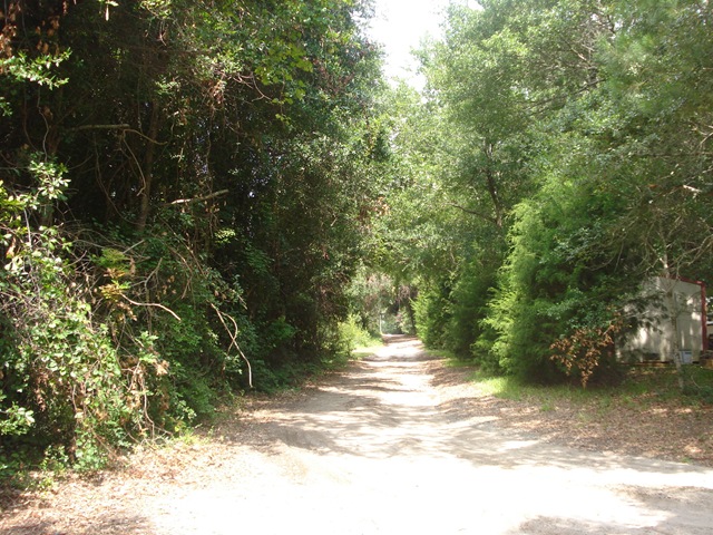 [DSC032993.jpg]
