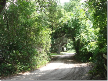 DSC03300