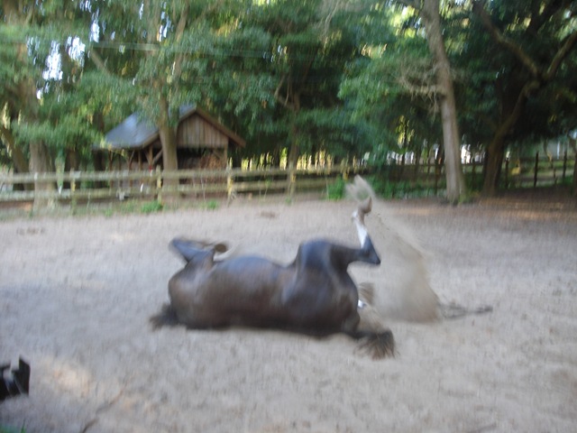 [DSC031164.jpg]
