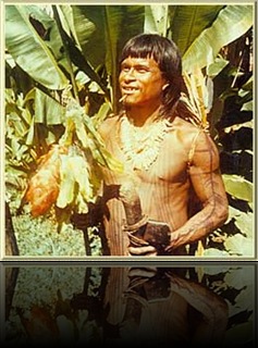 amarakairis2