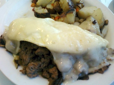 Turkey Omelette 2