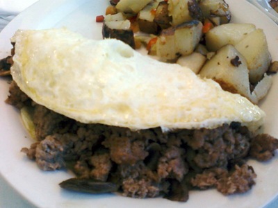 Turkey Omelette