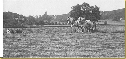 History Group Images. CD4 005