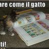 Come leggere i fumetti sul pc: Windows, Linux, Mac e PSP