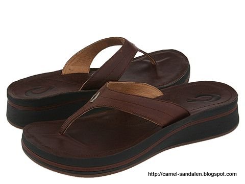 Camel sandalen:HH-368102