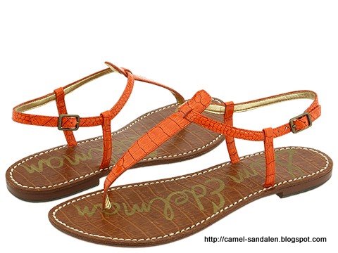 Camel sandalen:sandalen-370610