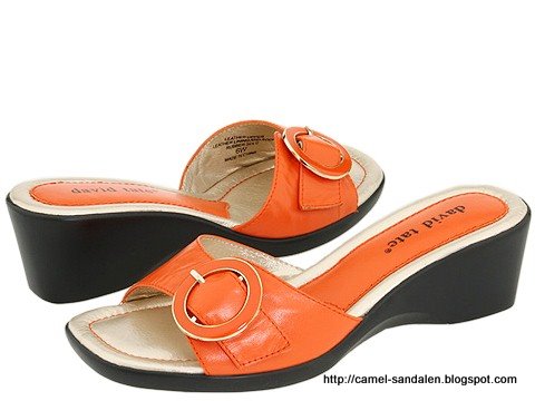 Camel sandalen:camel-370372