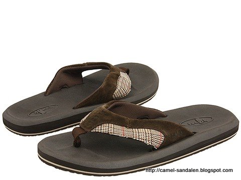 Camel sandalen:sandalen-369758
