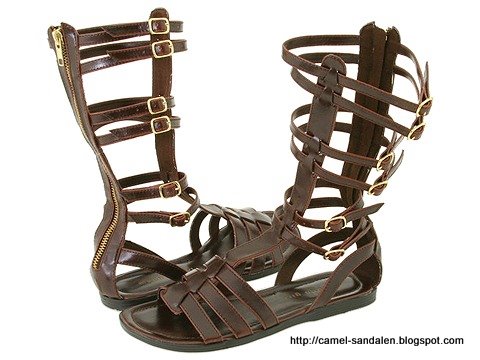 Camel sandalen:sandalen-369504