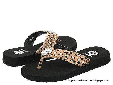 Camel sandalen:sandalen-369177