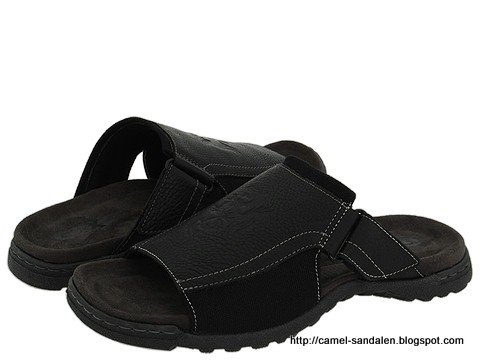 Camel sandalen:sandalen-369001