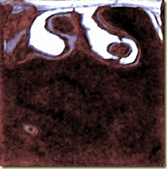 Photo0007