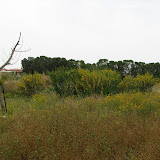 St Nicholas of the cats Monastery April 2007