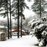 Belmont Snow - March 1, 2009