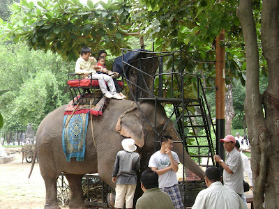 Elephant at Wat Phnom