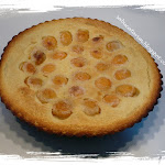clafoutis aux abricots (4).JPG