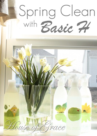 [Spring Clean[3].jpg]