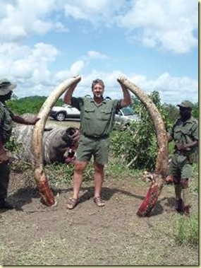 giant Kruger elephant bull Alexander's tasks _permission_Beeld_Feb102009