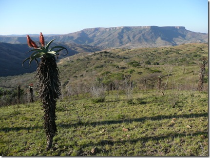 KZN
