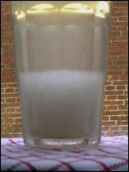 Eco toilet paper test June 18 2009 Day 14 shredded into tap water