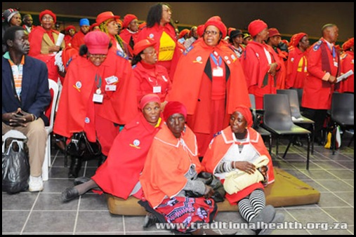 Traditional Healers tried to break down the doors of health department Pretoria Aug 27 2009