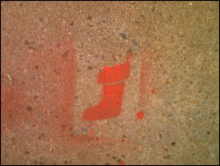 Africa sign Small Christmas Tree Spraypainted may indicate plans for burglary of house