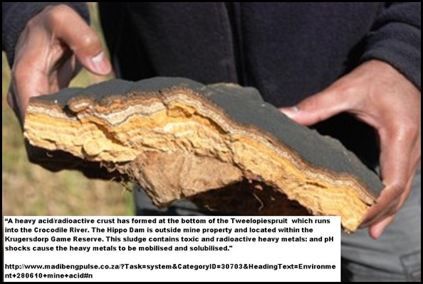 Radioactive acid mine-sludge crust formed in the Tweelopies river flowing into the Hartbeespoort And Hippo Dams Radioactive acid mine-sludge crust formed in the Tweelopies river flowing into the Hartbeespoort And Hippo Dams