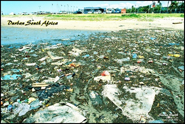 Durban waterfront Snowy Smith environmental photographer campaigner