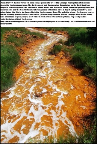 [Acid Mine Drainage from West Rand Mines Mariette Liefferink Hartbeespoortdam[6].jpg]