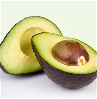 AVOCADOS SUBTROPICAL FRUIT GROWN IN MPUMALANGA SA AVOCADOS SUBTROPICAL FRUIT GROWN IN MPUMALANGA SA