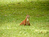 dscf0278.jpg
