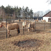 DSCF2629.JPG