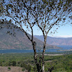P1100974.JPG