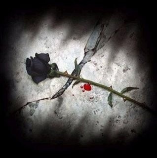 [normal_Rosa_negra[1][4].jpg]