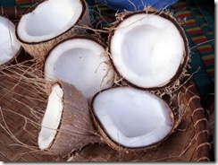 cocos