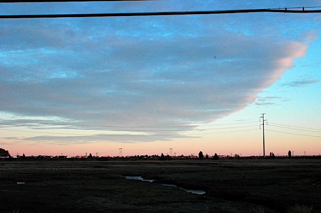 DSC_5951.JPG