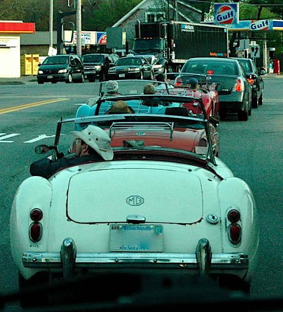 DSC_6313.JPG