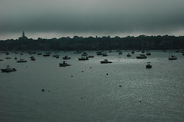 DSC_6503.JPG