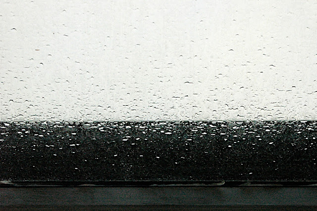 DSC_7447.JPG