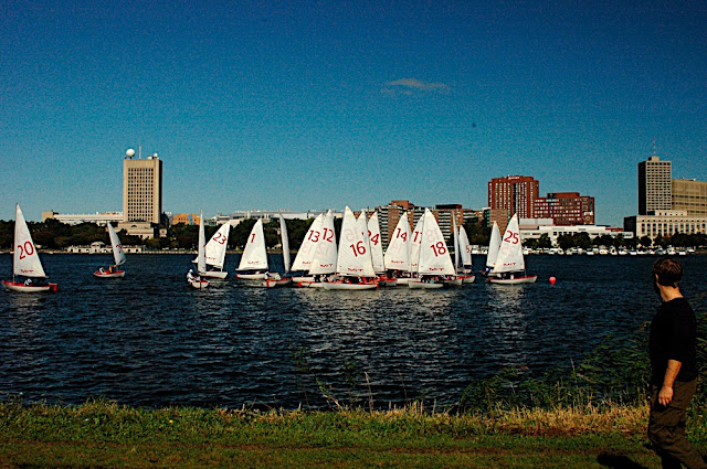 DSC_7667.JPG