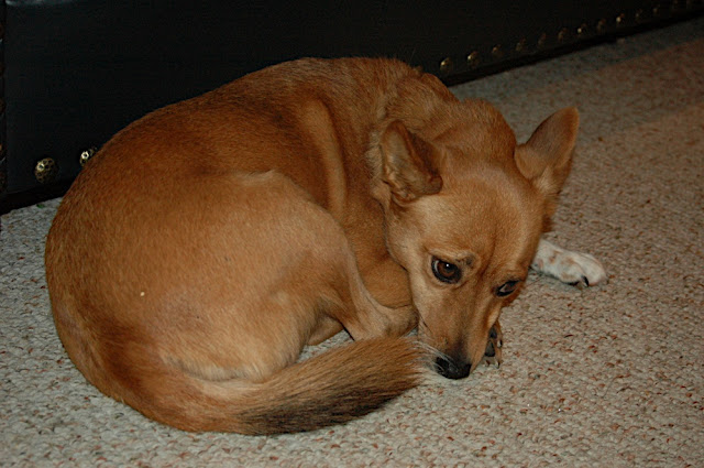 DSC_7737.JPG