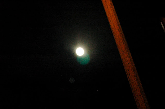 DSC_8074.JPG