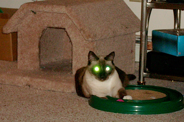 DSCN1774.jpg