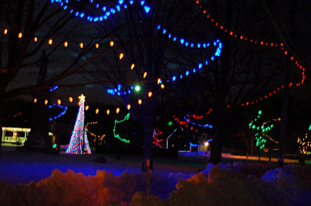 DSC_8444.JPG