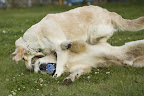 foto4/