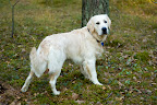 foto3/