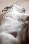 foto6/