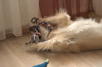 foto30/