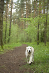 foto10/